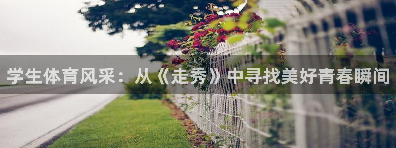 熊猫体育app下载安装