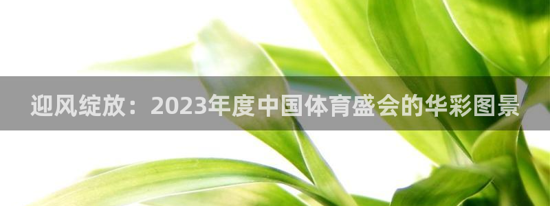熊猫体育平台官网