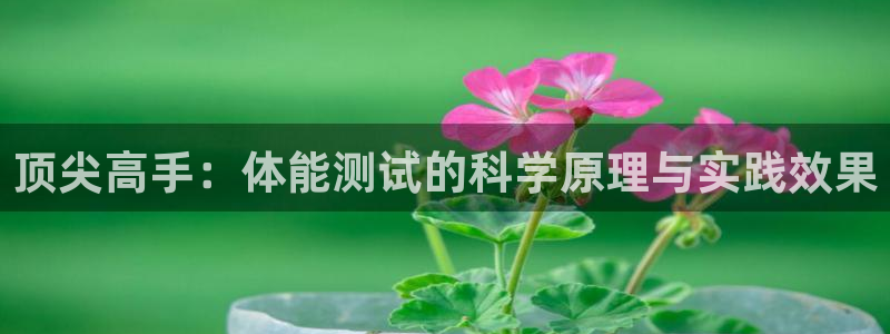 熊猫体育平台