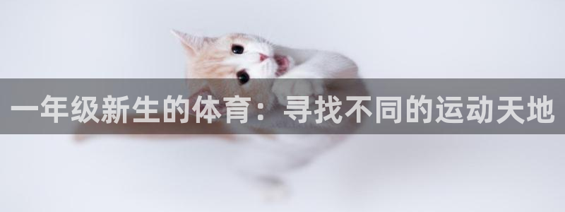 熊猫体育免费下载