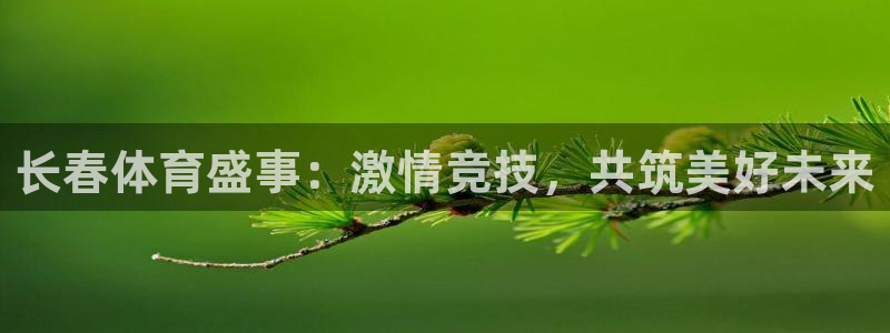 熊猫体育app官方入口