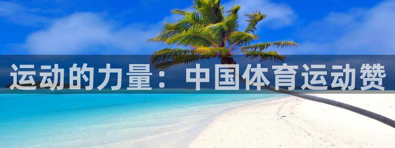 熊猫体育比赛直播