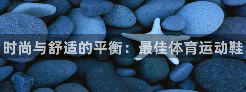 熊猫体育app官网入口