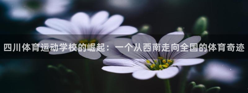 熊猫体育直播