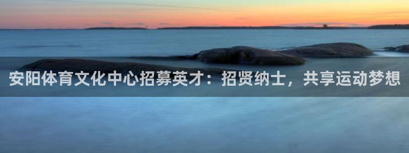 熊猫体育app官网入口